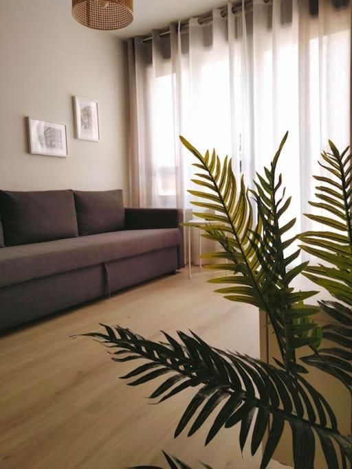 La Terraza De La Vega - Ubicacion Inmejorable , Wifi , Terraza Y Parking Gratuito Apartment โอเบียโด ภายนอก รูปภาพ