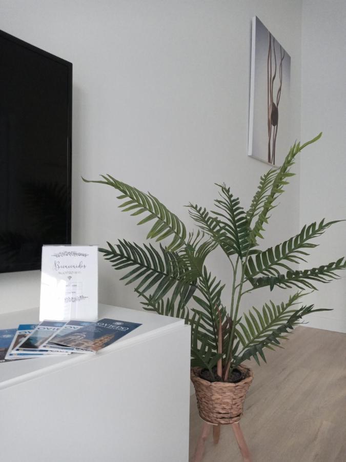 La Terraza De La Vega - Ubicacion Inmejorable , Wifi , Terraza Y Parking Gratuito Apartment โอเบียโด ภายนอก รูปภาพ