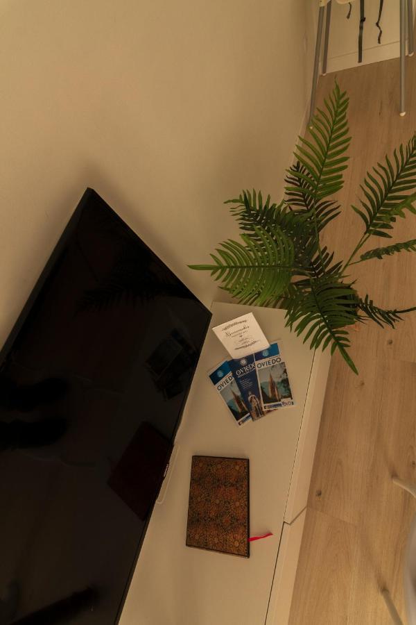 La Terraza De La Vega - Ubicacion Inmejorable , Wifi , Terraza Y Parking Gratuito Apartment โอเบียโด ภายนอก รูปภาพ